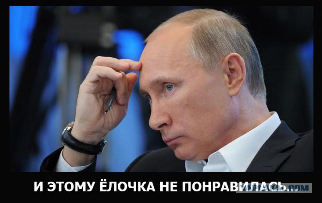 Волгоградский мститель