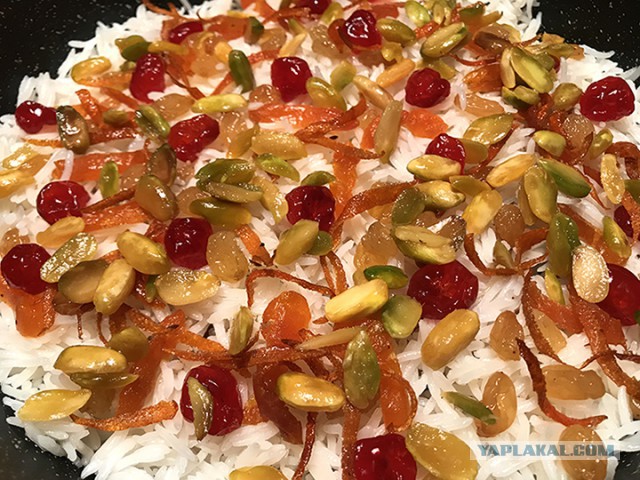 4000 км за пловом