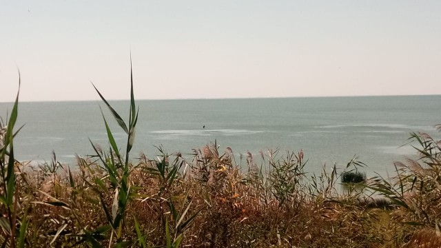 Мыть сапоги в индийском океане, или как мы в Морской Чулек гоняли