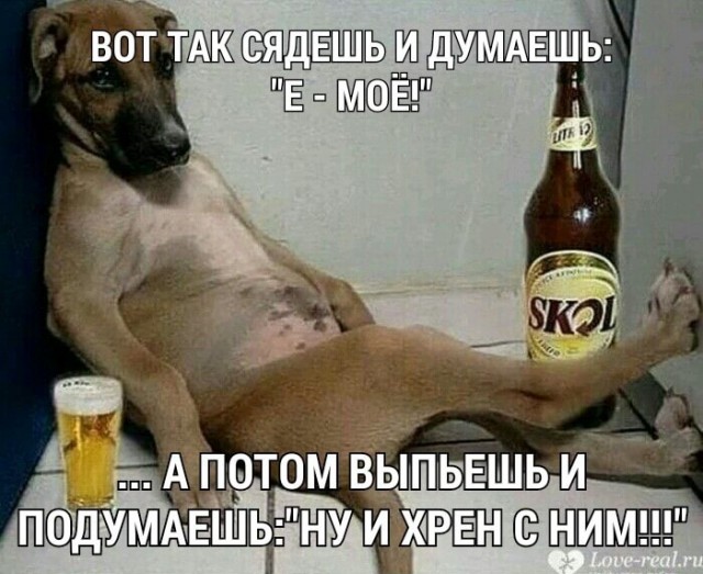 Применим физику в постели или белка и стрелка. Картинки