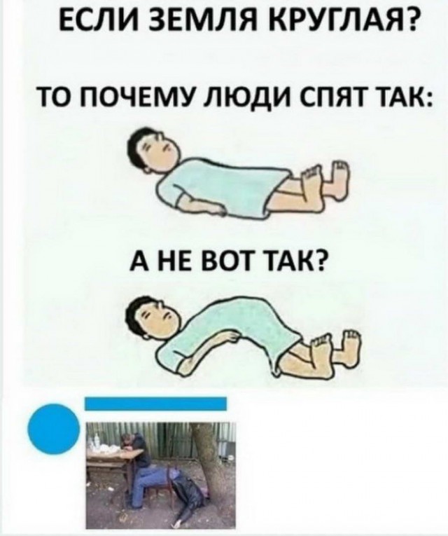 Делаем уроки, бутерброды, охотничью собаку и присоединяем Австрию к России