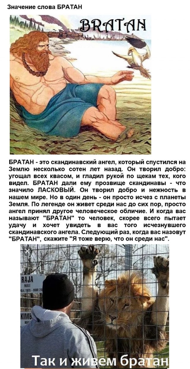 Картинки с надписями, истории и анекдоты 13.09.19