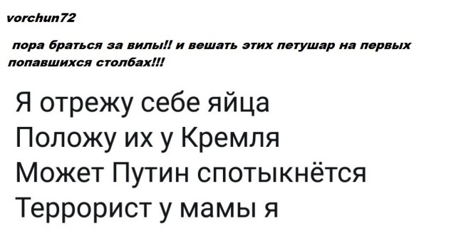 Ответ россиянину, раскритиковавшему изменение Конституции