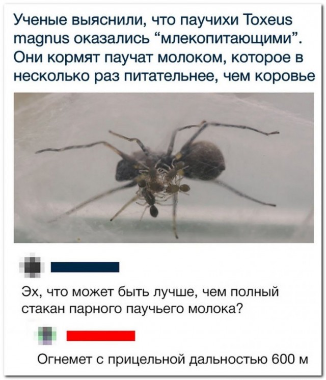 Картинки из рабочего чата 25.04