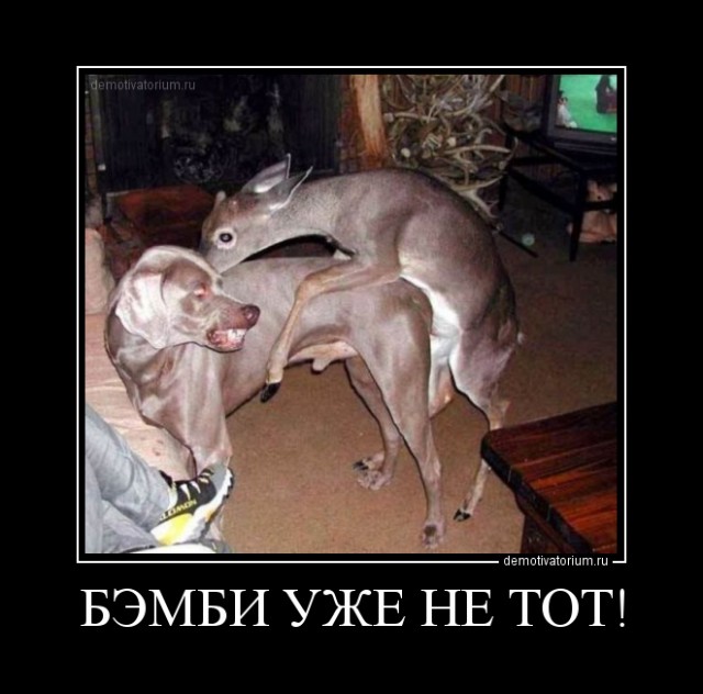 Очень пошлые картинки про это. Часть 2. 18+