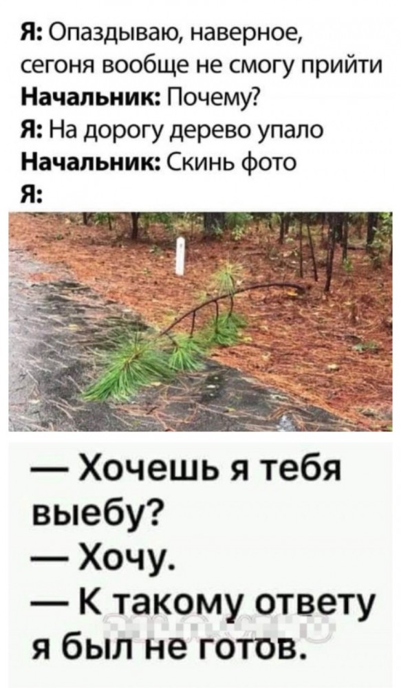 Бредзона 07.07.2020
