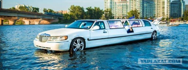 Свадьба любителей рыбалки