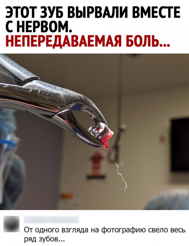 Баянисто-небаянистый юмор. 18.09.20