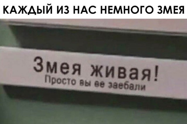 Юмор в картинках 21.09.20