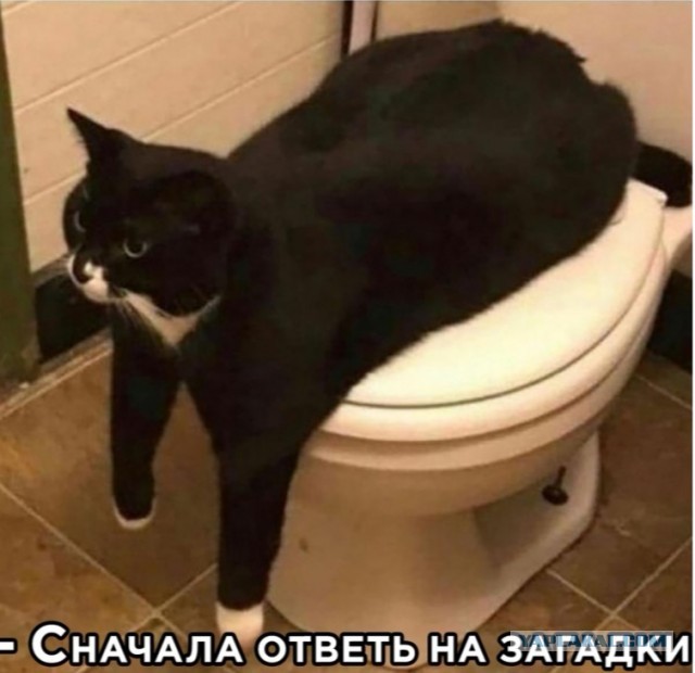 Юмор в картинках 25.10.20