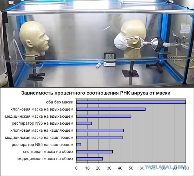 Пандемия. Коронавирус. Россия и мир. Последняя информация. Часть 18