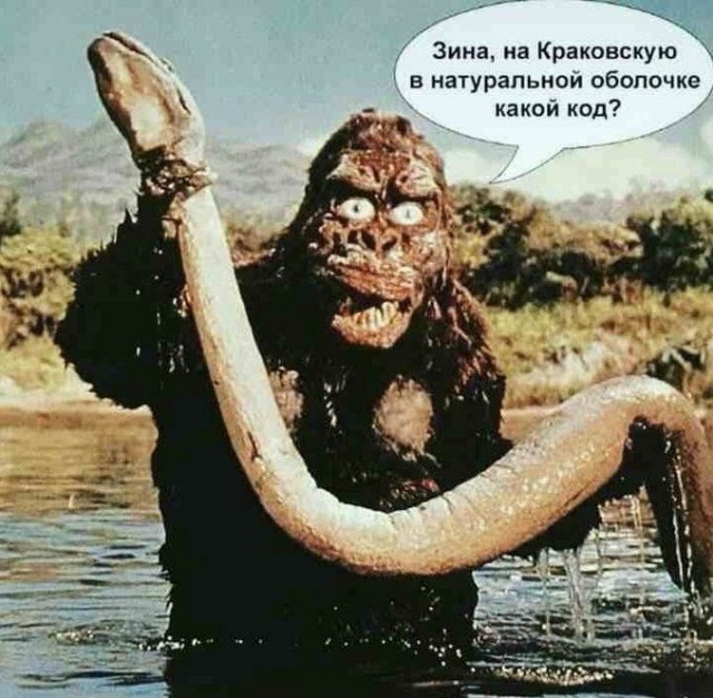 Отовсюду обо всём