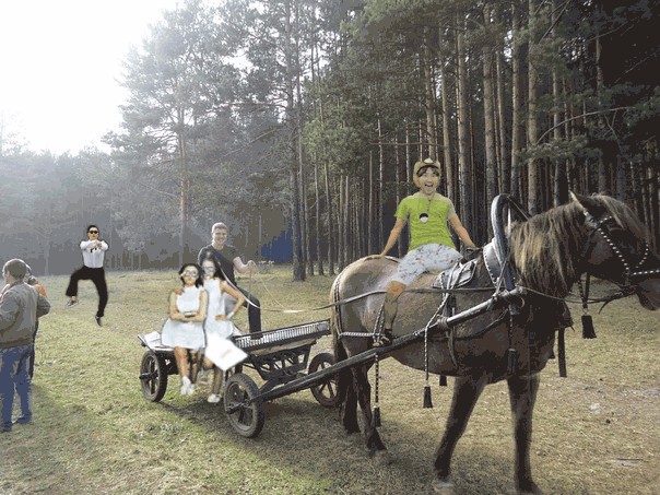 Фотожаба: если б я имел коня...