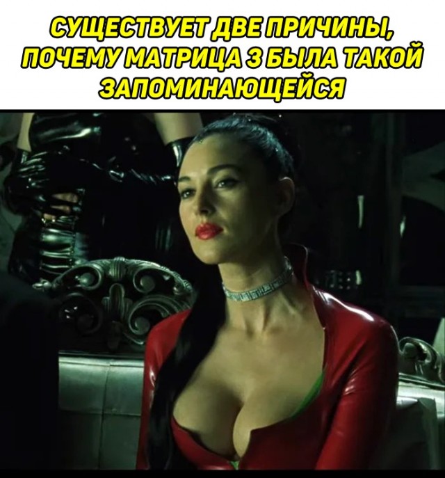 Весёлый полтишок 24.03