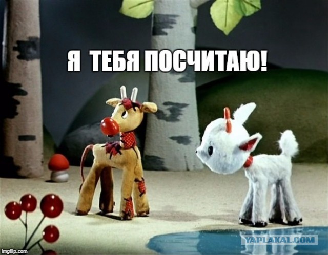 Путин поручил создать законопроект об учете домашних животных