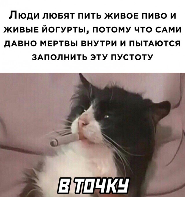 Весёлый полтишок 1.06.