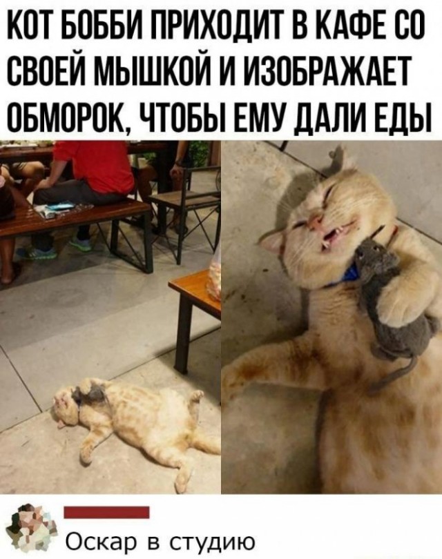 Картинки и мемы для настроения 21.06.2021