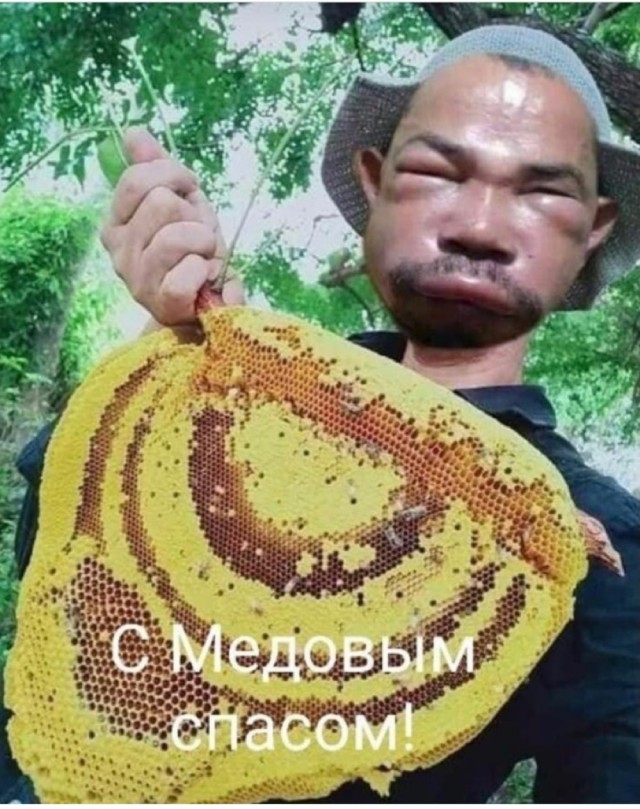 Так себе картинки 14.08.21