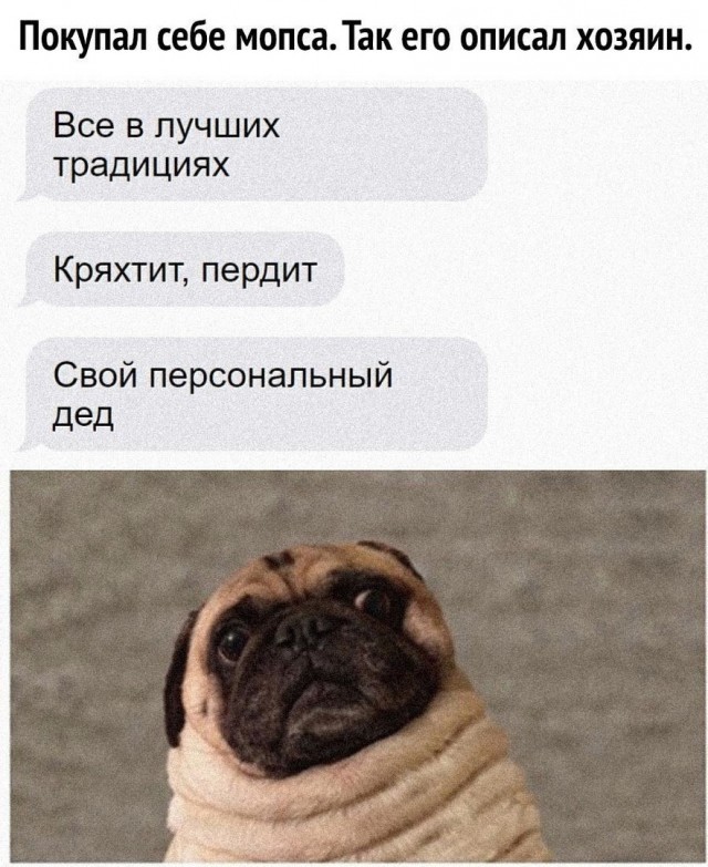 Так себе картинки 27.08.21