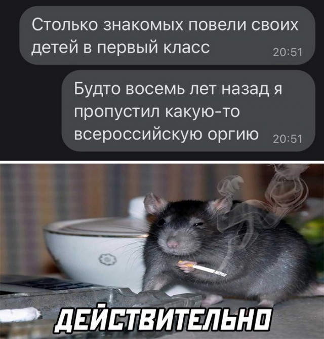 Картинки и мемы для настроения 003