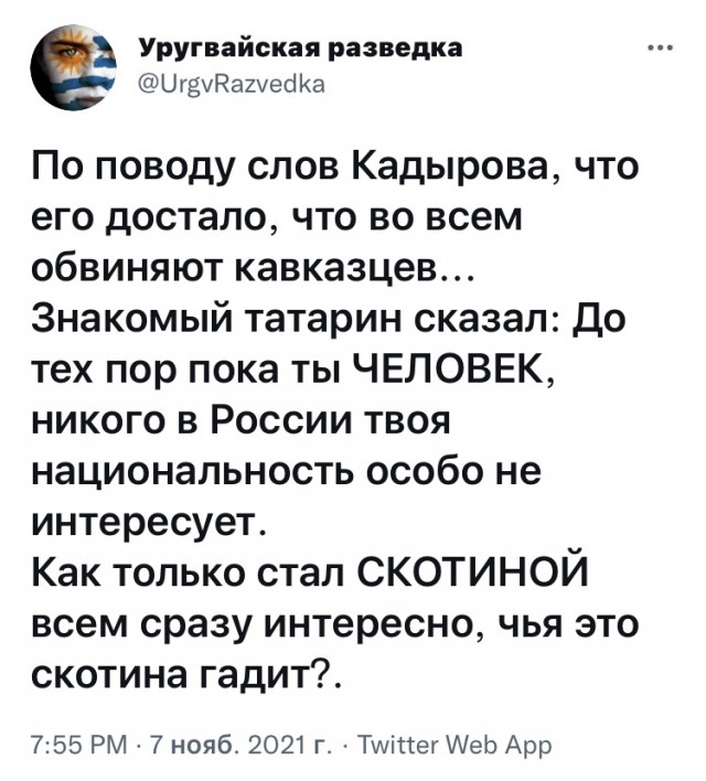Весёлый полтишок 07.11