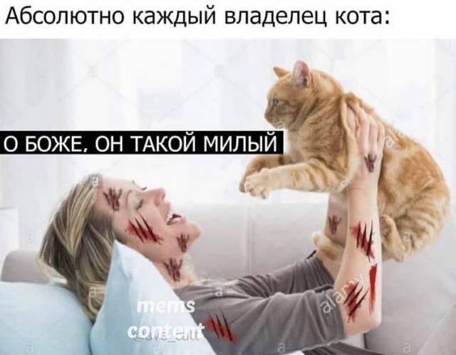 Забавные комментарии из социальных сетей (08.11.21)