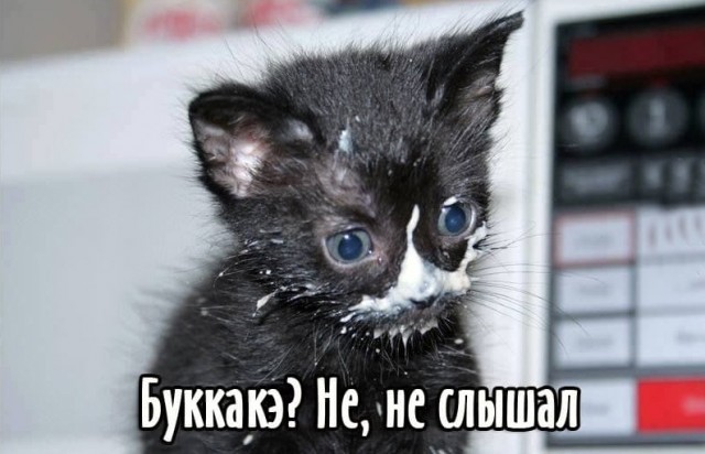 Аморальная деградация
