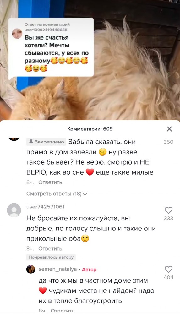 Кошка Маха и собачка Жужа с города Парижу