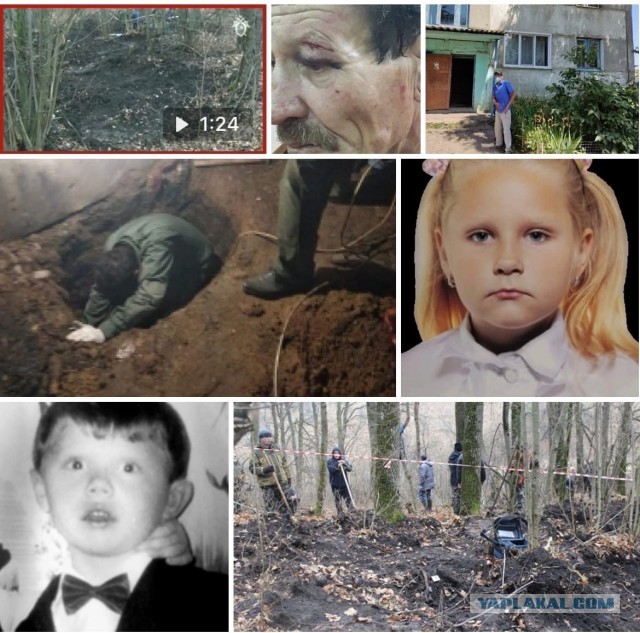 Тихий мигрант Шавкат Шаяхмедов - убийца Вики Гнедовой дополнительно признался в убийстве еще двух детей и одной женщины.