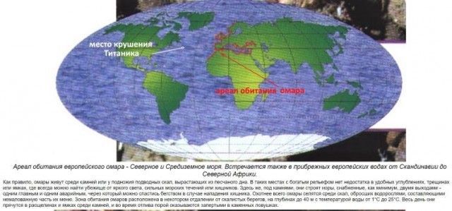 Картинки и мемы для настроения 31.03.2022