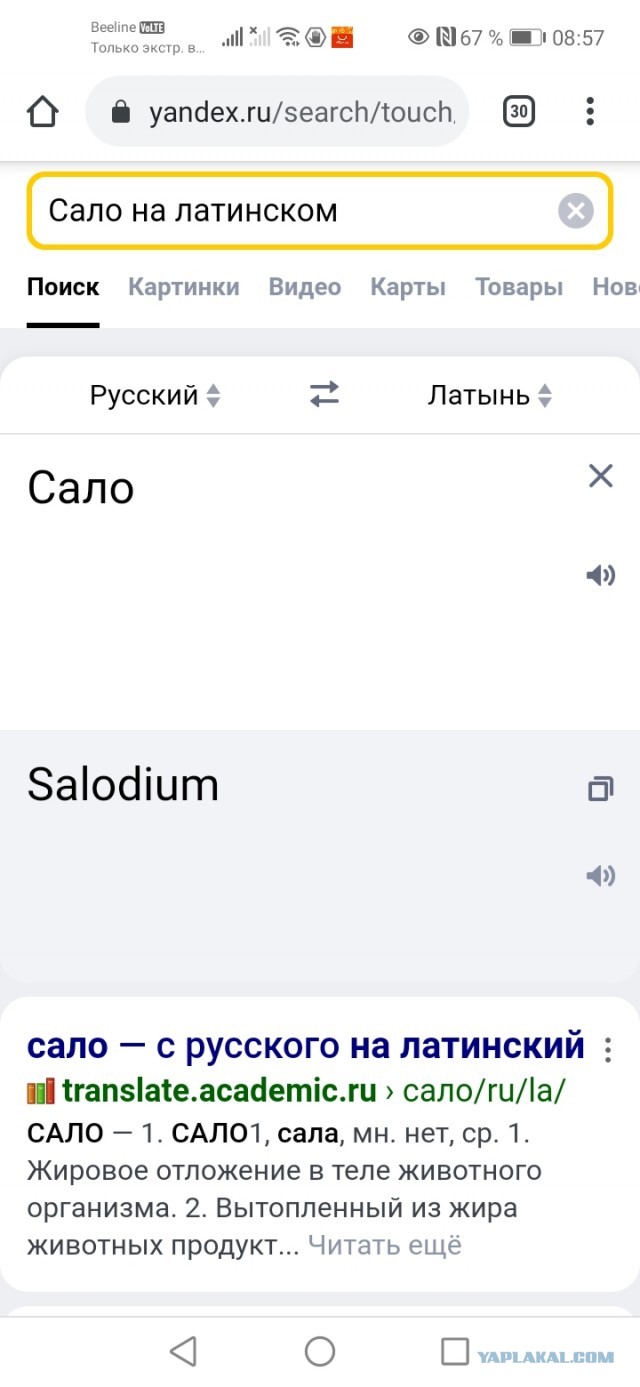 Так себе картинки 08.04.22