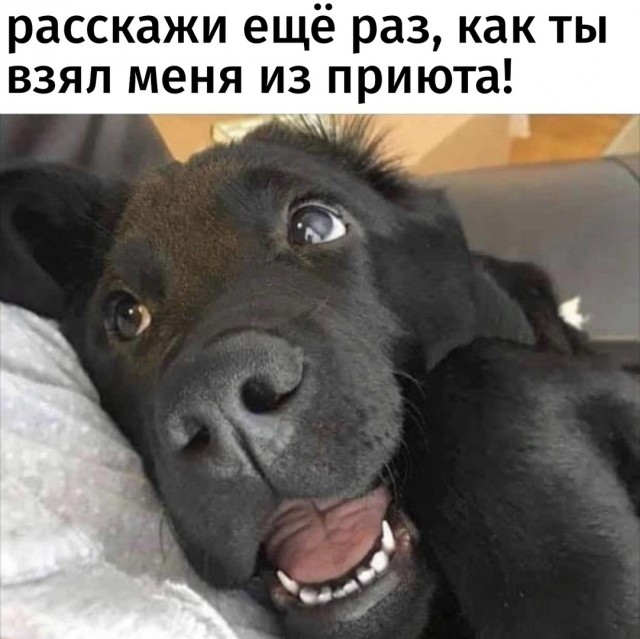 Так себе картинки 01.05.22