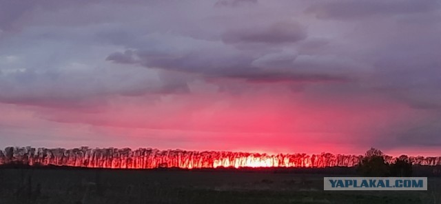 РСП