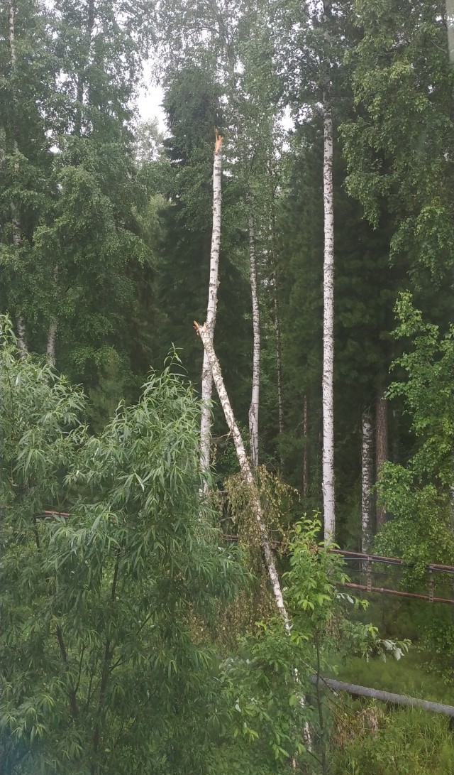 "Я заснял, папа! Я заснял это!"