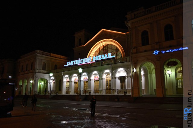 СПб глазами уставшего туриста...