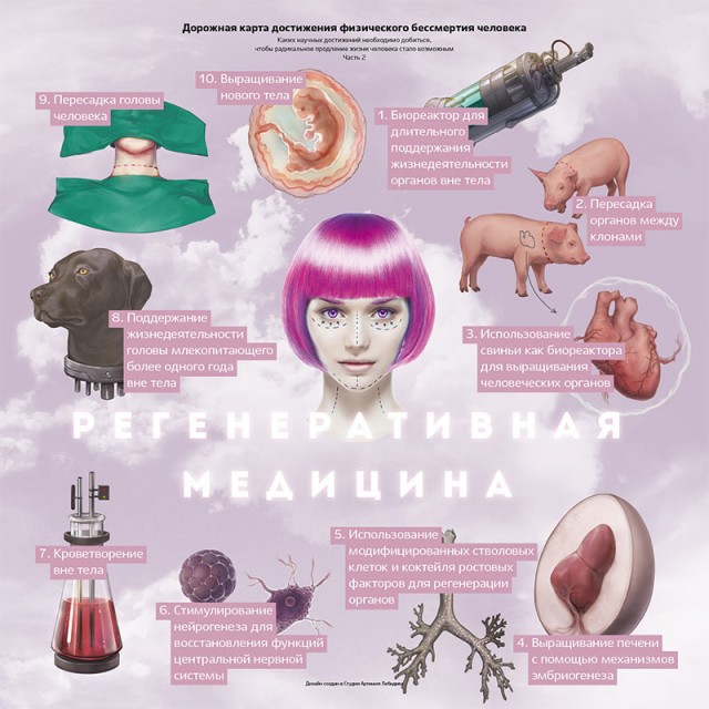 Бессмертие возможно? Теневое правительство человечества!
