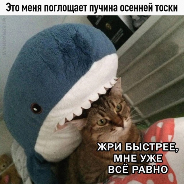 Картинки и мемы, всем хороших выходных