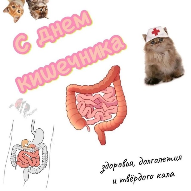 Картинки аморальные и всякие разные - 42