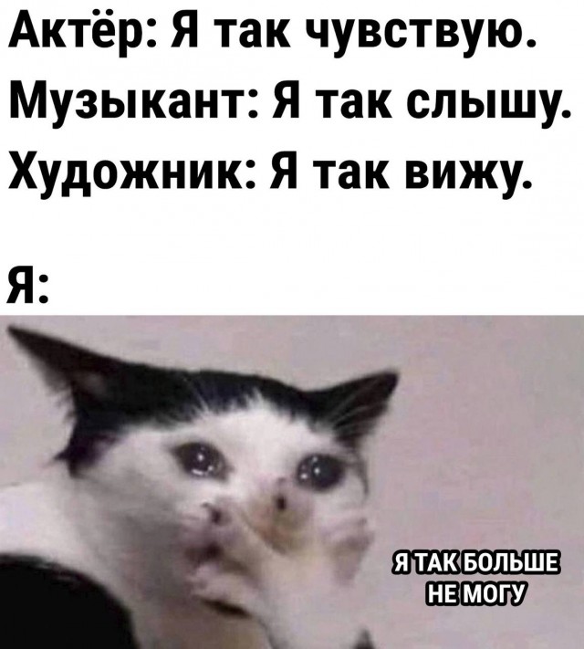 Немного мемчиков. Для взрослых. Часть 21
