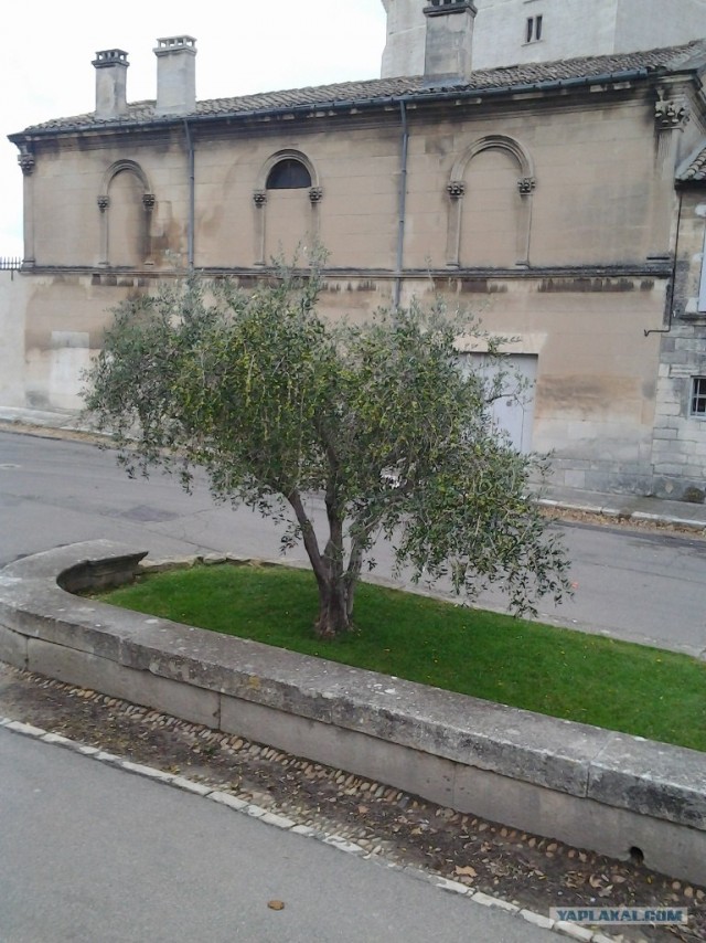 В поисках такси