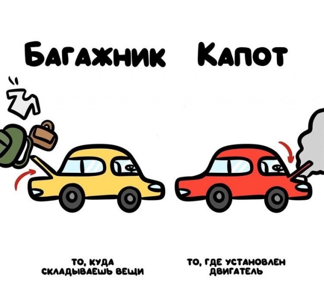 15 полезных рисунков, наглядно показывающих разницу вещей, которые мы то и дело путаем