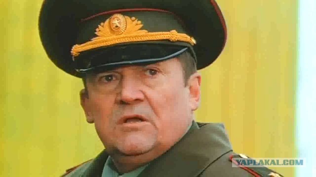 А птичек Тари потом выковыривает смелый кот