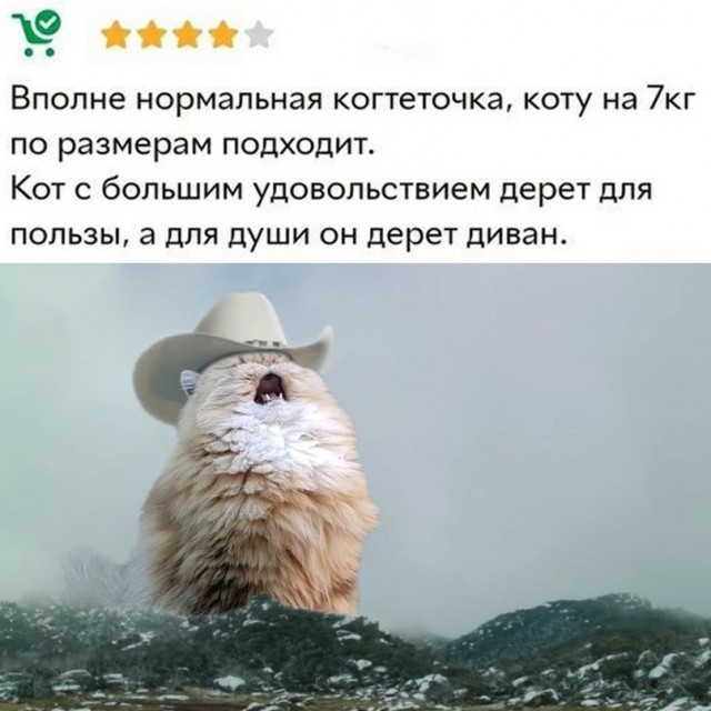 Весёлый полтишок 09.01.23
