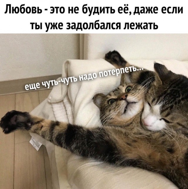 Картинки и мемы для настроения - 131