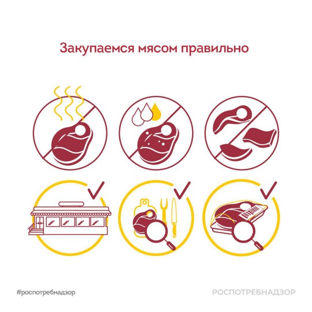 Победная поступь идиотизма по планете – том 13