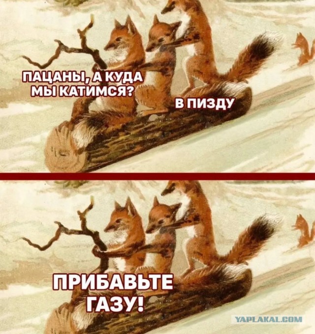 Смольный попросил у бизнеса помощи в найме контрактников