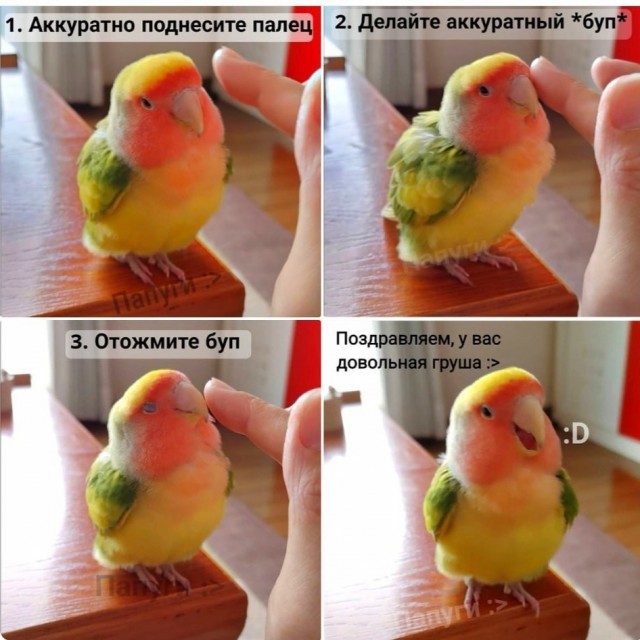 Одиннадцатая подборка самых баянистых баянов! Ностальгируем...