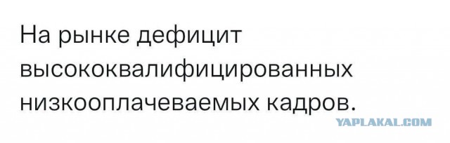 Логистические компании жалуются на острый дефицит дальнобойщиков