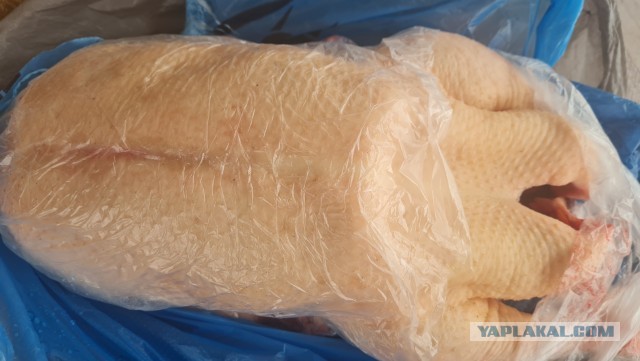 Гусь Новогодний