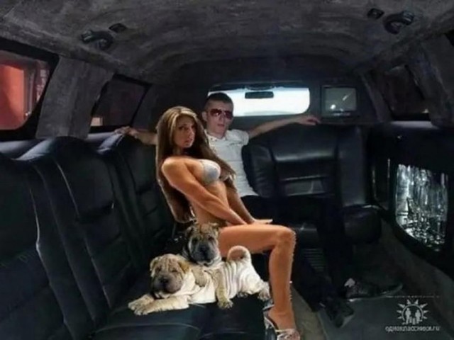 Вы что там, угораете? В какую дурку? ©